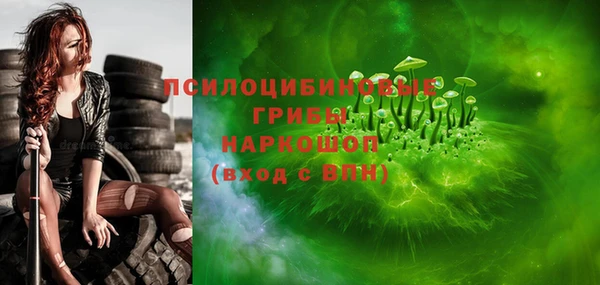 бошки Аркадак