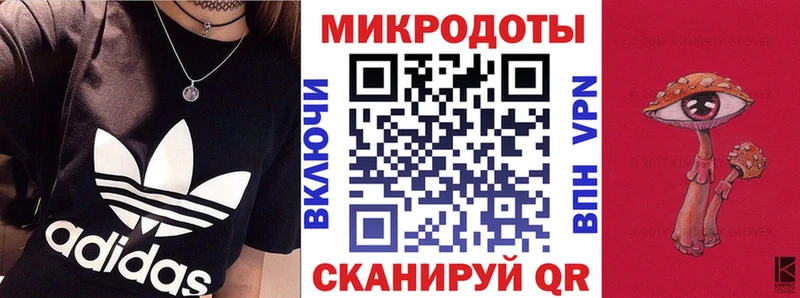закладка Усолье-Сибирское Псилоцибиновые грибы Psilocybine cubensis